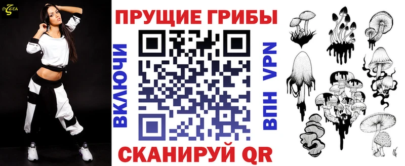 купить наркотик  Венёв  Псилоцибиновые грибы MAGIC MUSHROOMS 
